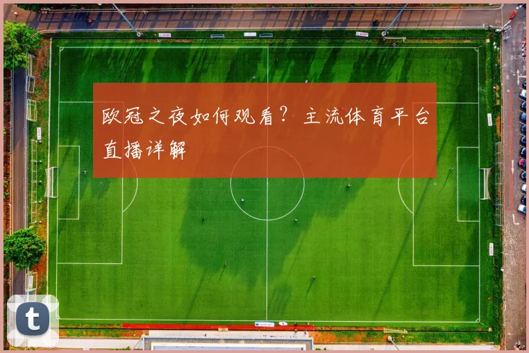 欧冠之夜如何观看？主流体育平台直播详解