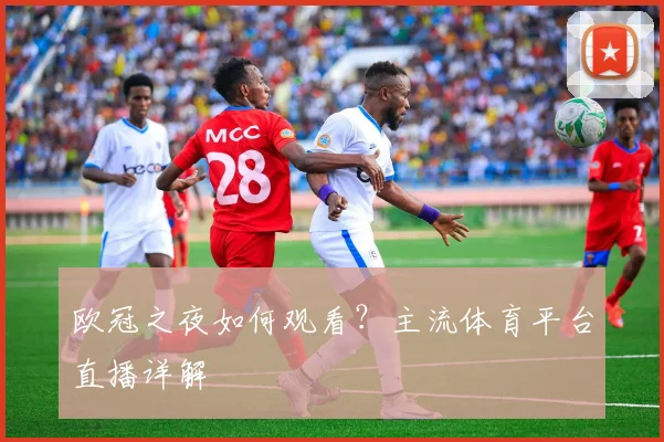 欧冠之夜如何观看？主流体育平台直播详解