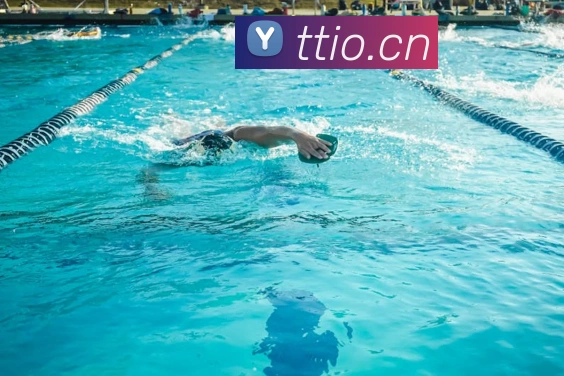 人人体育在线直播服务体系